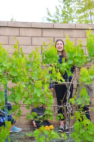 DSC_7423 (Large).JPG